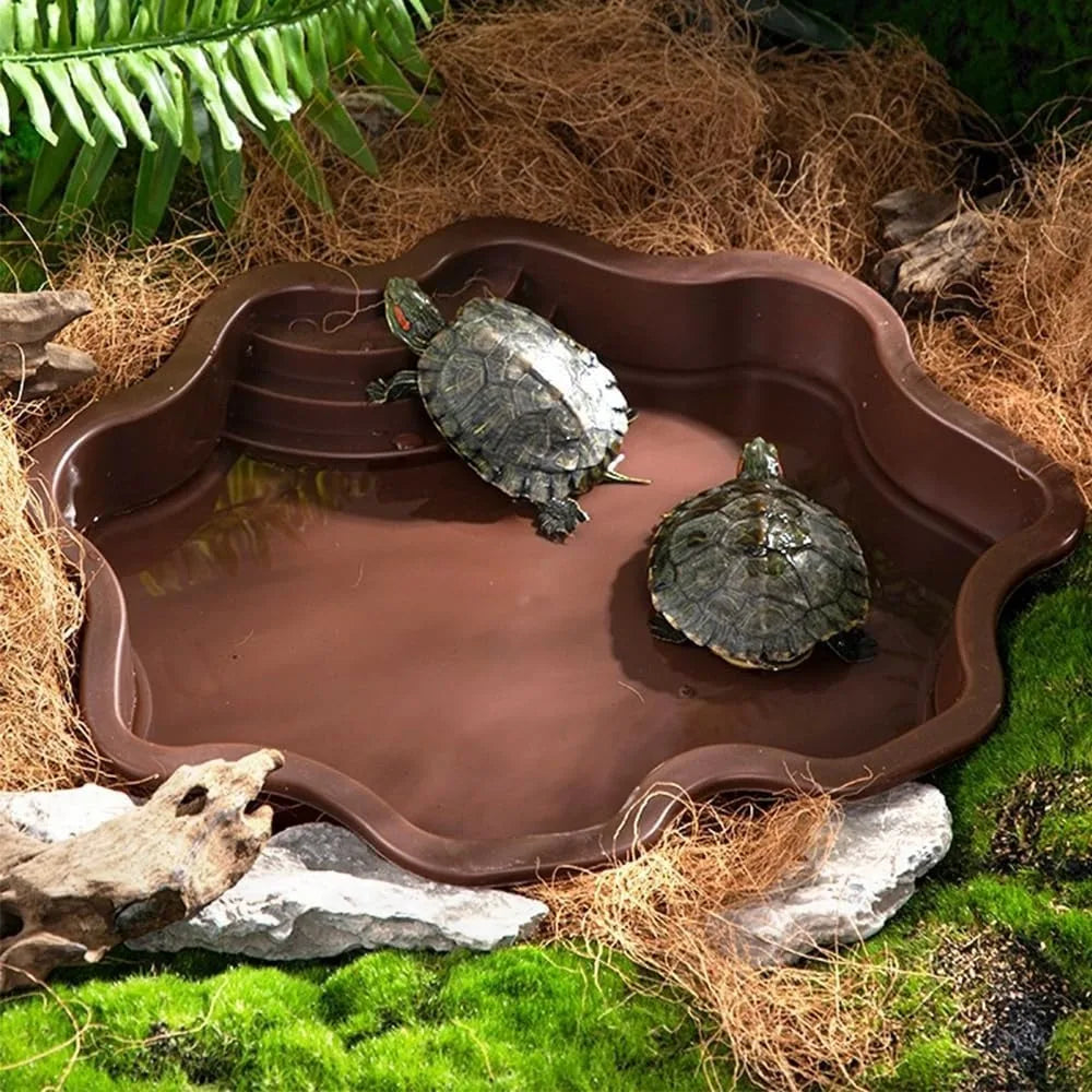 Turtle Bathing Pool, Reptile Feeding Dish - ProPawPet.com