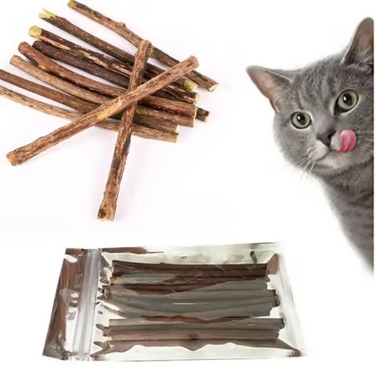10/15/20 pcs/lot Cat Stick Pet Cat Molar - ProPawPet.com