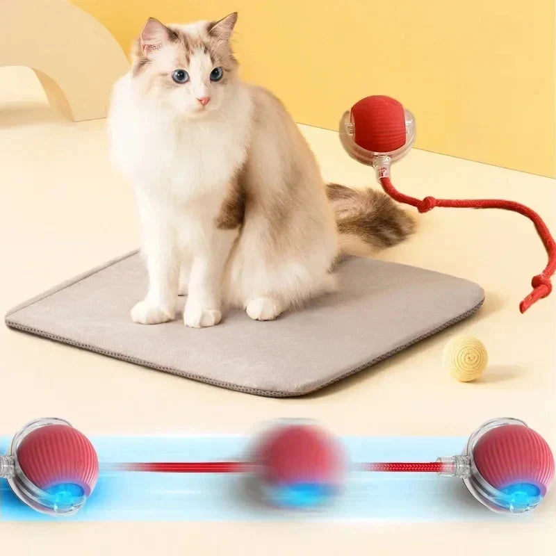 Rechargeable Automatic Rolling Ball Cat Toy - ProPawPet.com