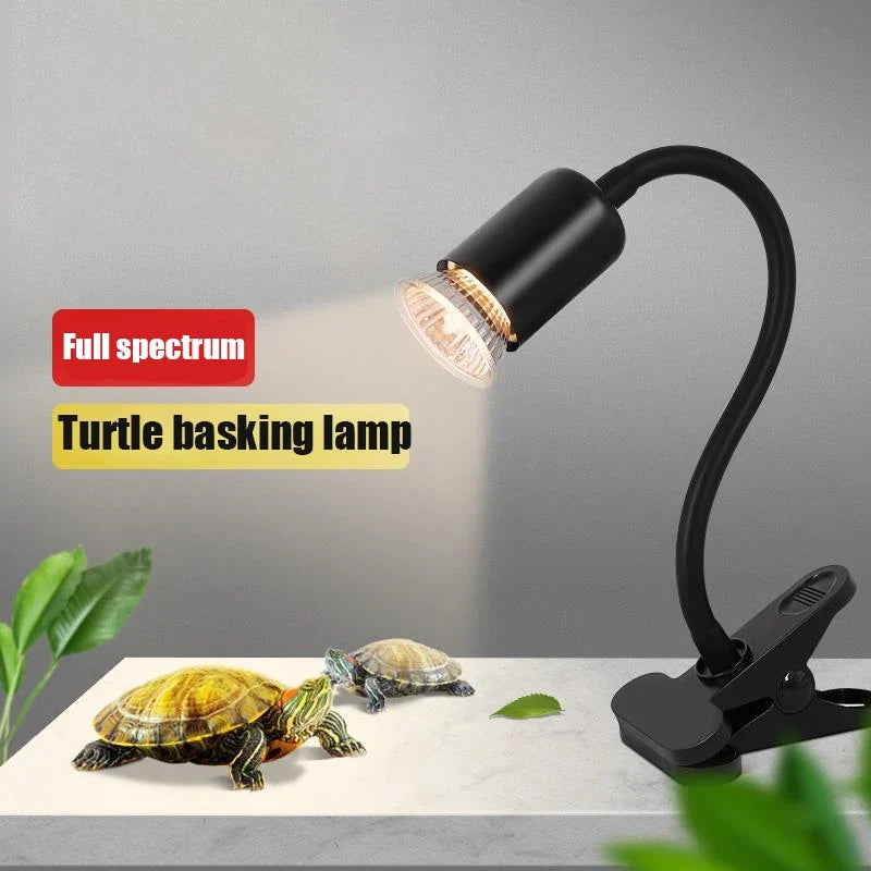 220V Turtle Basking Lamp With 25\50\75W - ProPawPet.com