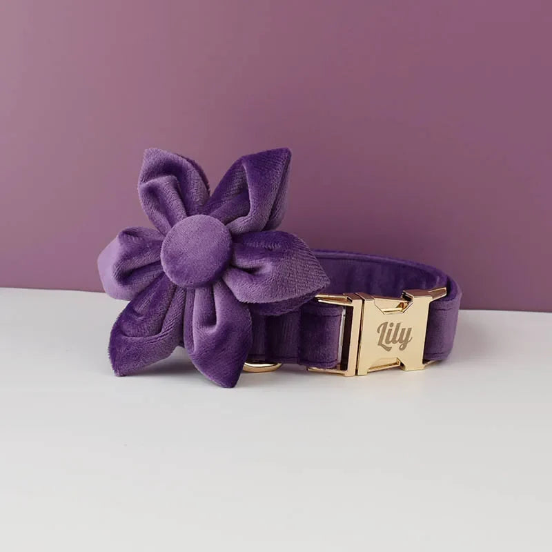 Purple Velvet Dog Collar And Leash Set For - ProPawPet.com
