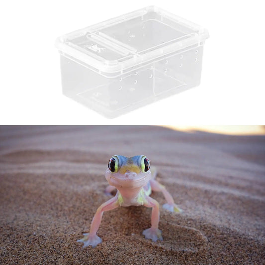 Transparent Reptile Feeding Box Portable - ProPawPet.com