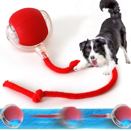 Hot Electric Dog Ball Toys Automatic Rolling - ProPawPet.com