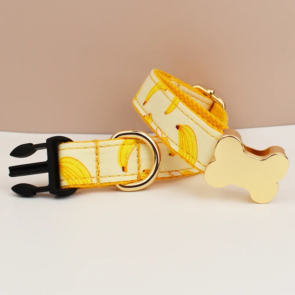 Premium Custom Engraved Dog Collar for Small - ProPawPet.com