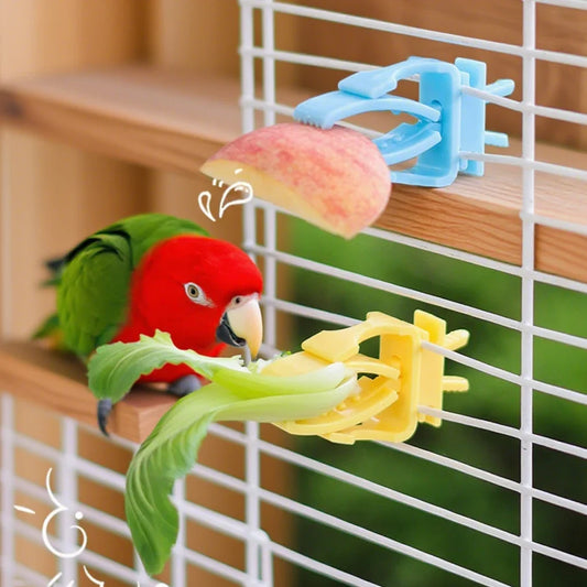 2/4pcs Set Pet Bird Food Holders Parrot - ProPawPet.com