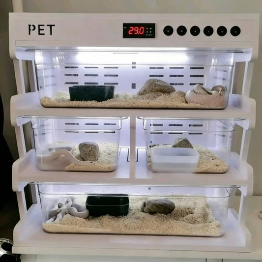 Reptiles Incubator Heating Gecko Snake - ProPawPet.com