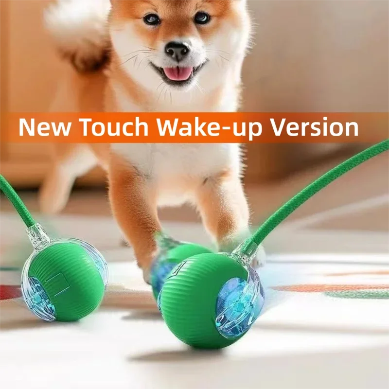 Dog Interactive Ball Toy Automatic Rolling - ProPawPet.com