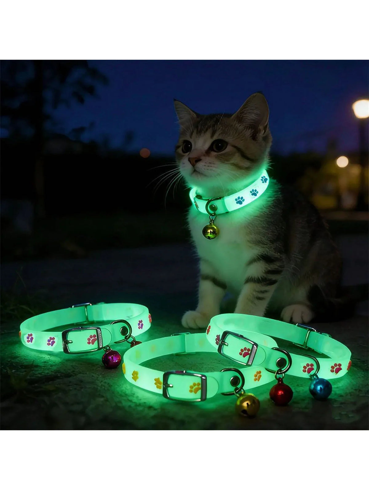 1 Pc 29cm Pet Collar, Night Glowing Cute Pet - ProPawPet.com