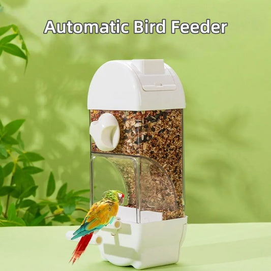 New PET Automatic Bird Feeder Transparent - ProPawPet.com
