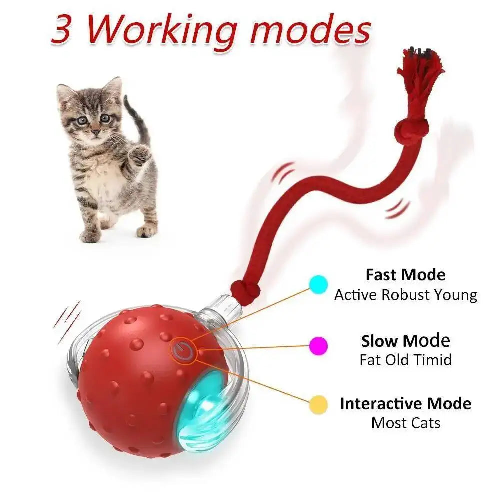 Interactive Cat Toy Ball with Bird Chirping - ProPawPet.com