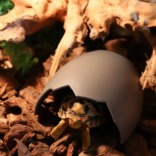 Reptile Hide Cave Plastic Durable Spider - ProPawPet.com