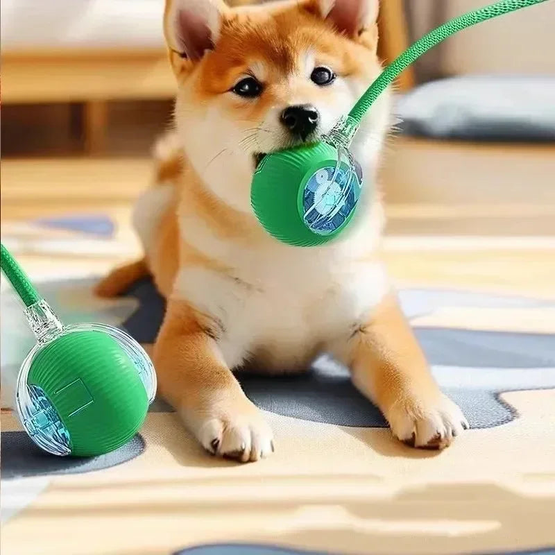 1~3pcs Cat Interactive Ball Toy Automatic - ProPawPet.com