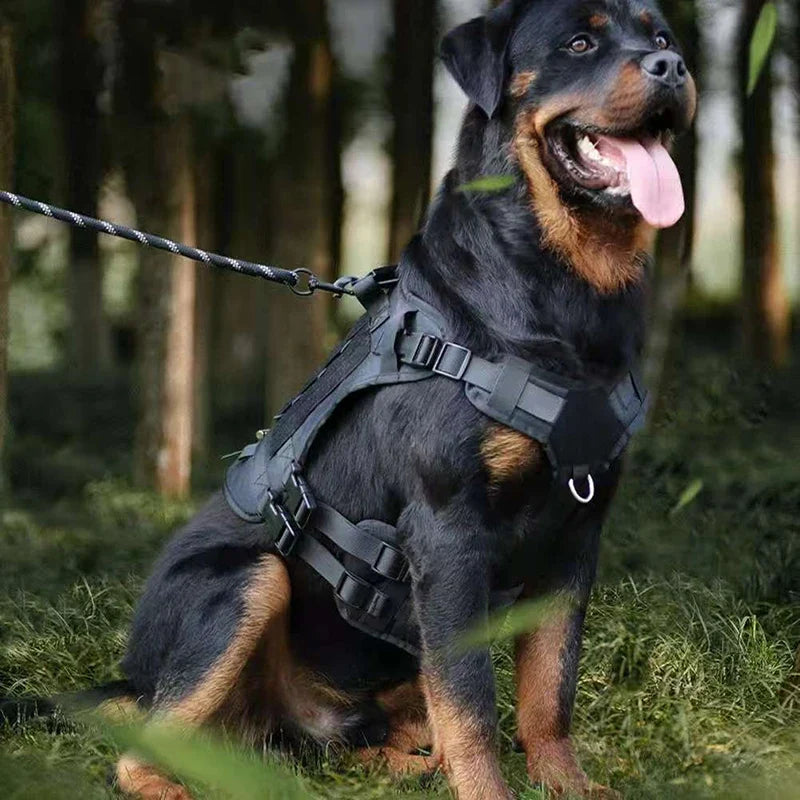 Heavy DutyTactical Leash Set Dog Harness for - ProPawPet.com