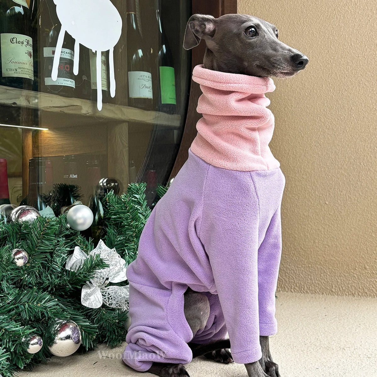 Dog Clothes for Italian Greyho with Hat Pure - ProPawPet.com