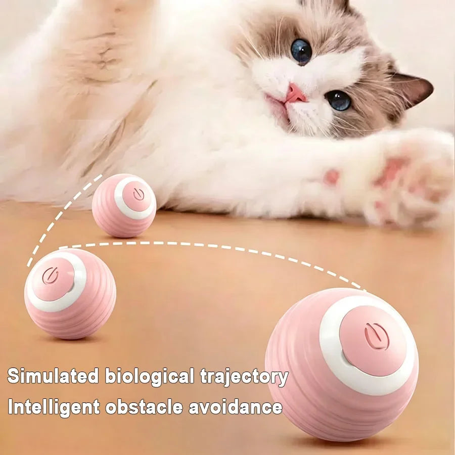 Cat Interactive Ball Electric Automatic - ProPawPet.com