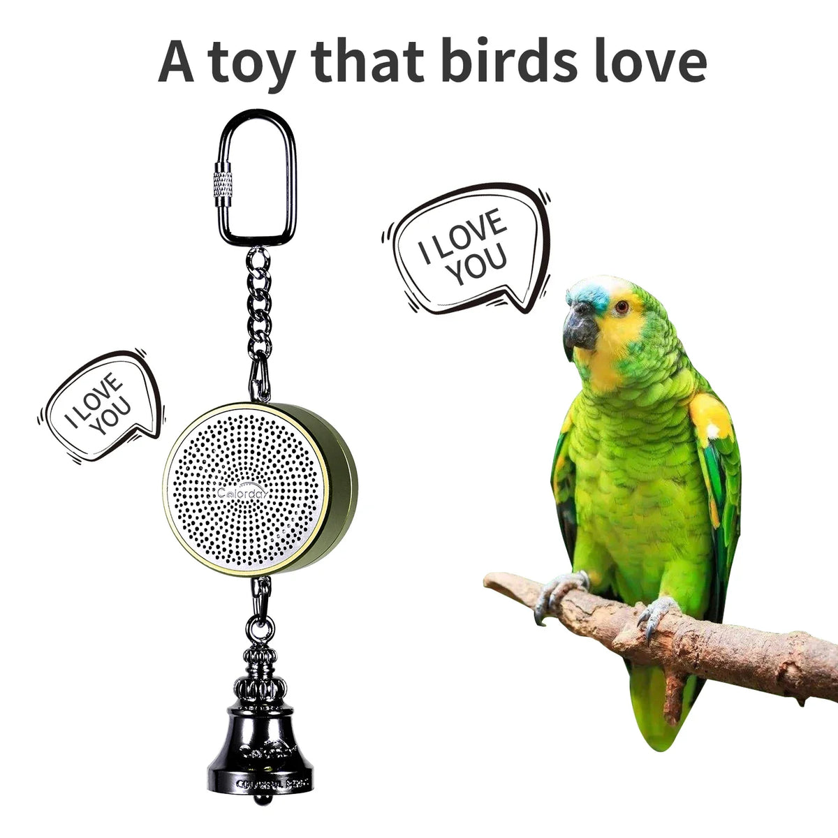 Parrot Toys to Teaching Training Bird Talking Coach, Interactive