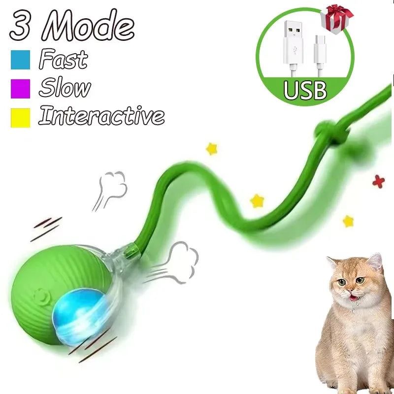 Dog Cat Interactive Ball Toy Automatic - ProPawPet.com
