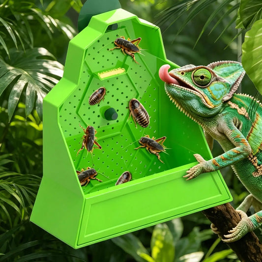 Reptile Food Dish Reptile Feeding Bowls - ProPawPet.com