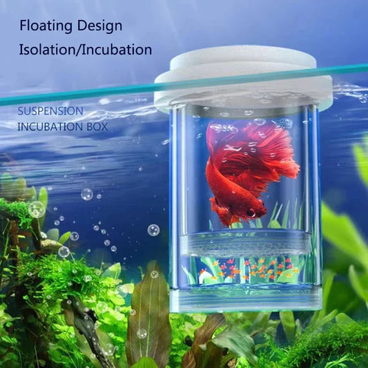 Plastic Floating Fish Breeding Isolation Box - ProPawPet.com