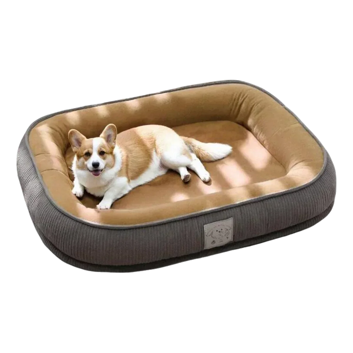 Thickened Wear Resistance Small Breed Dog - ProPawPet.com