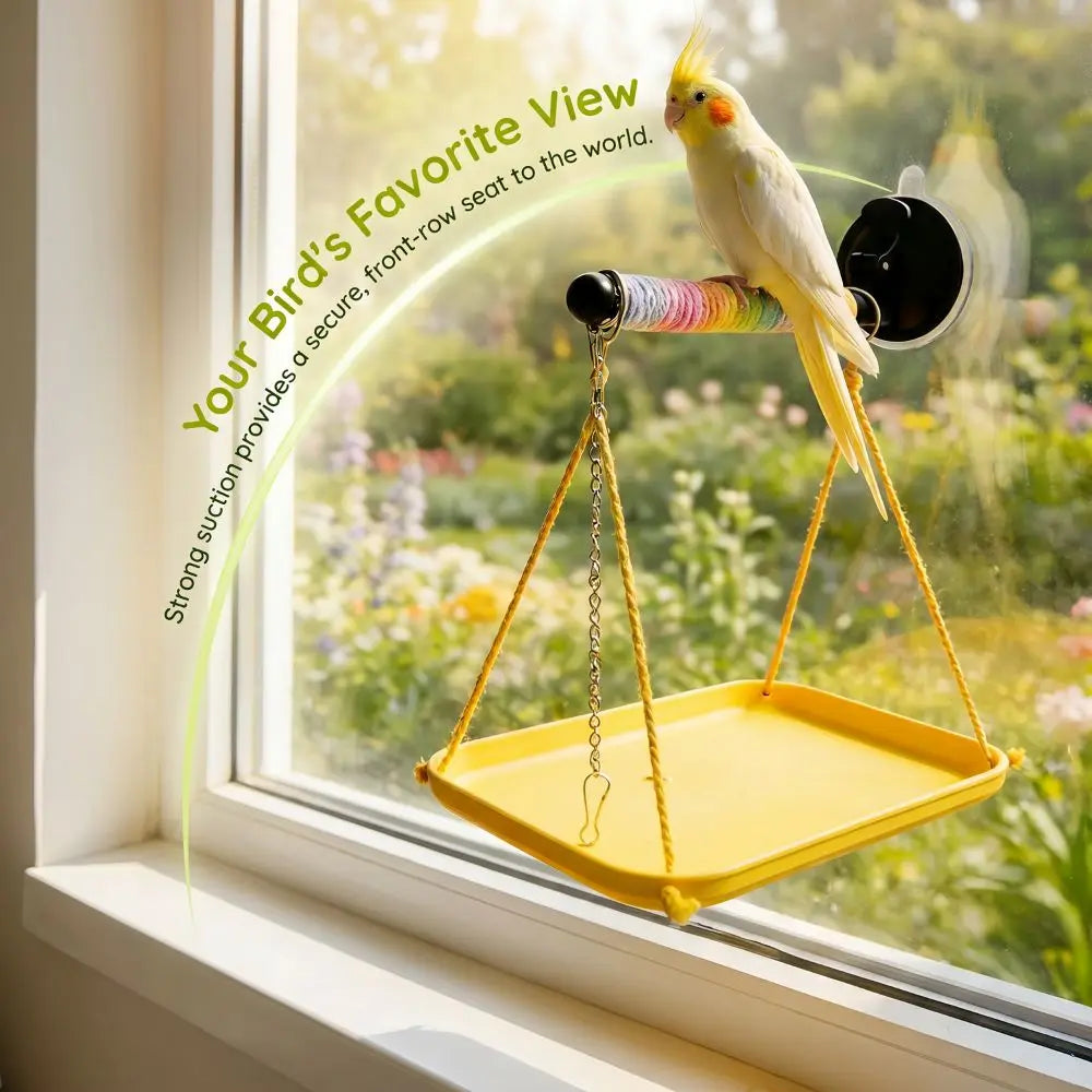Colorful Bird Swing Hammock Interactive - ProPawPet.com