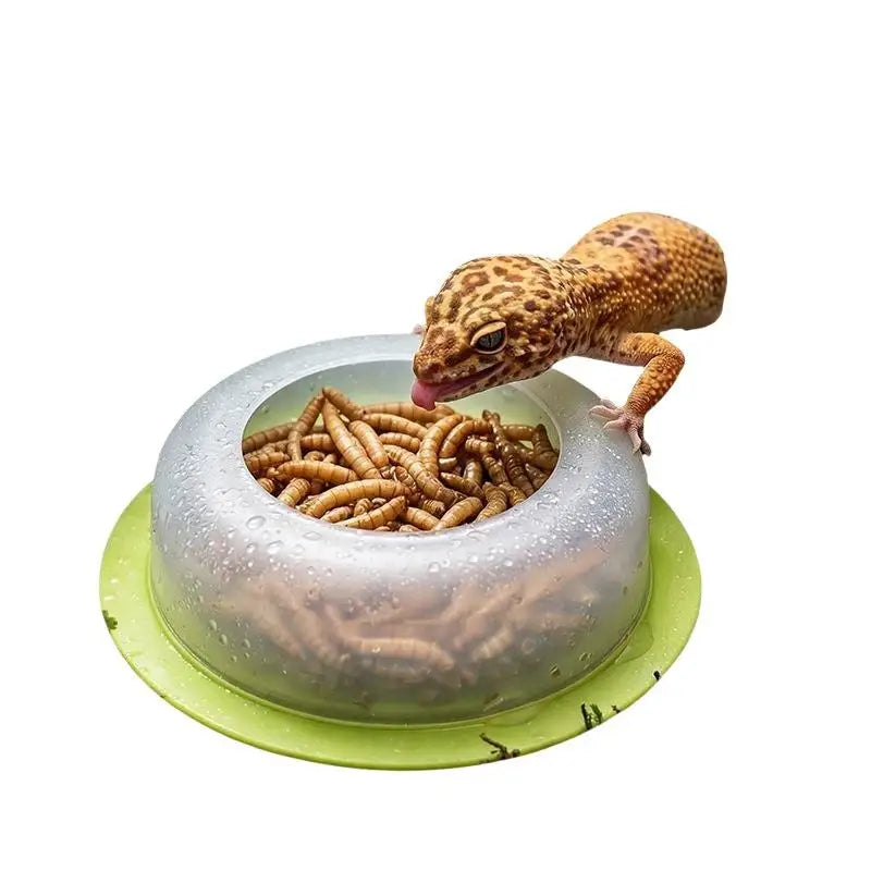 1Pcs For Lizards Geckos Snakes Turtles - ProPawPet.com