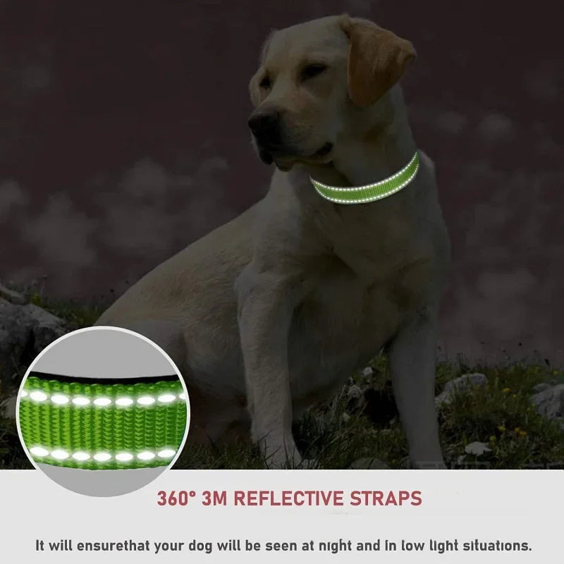 Reflective Dog Collar Strap with Adjustable - ProPawPet.com