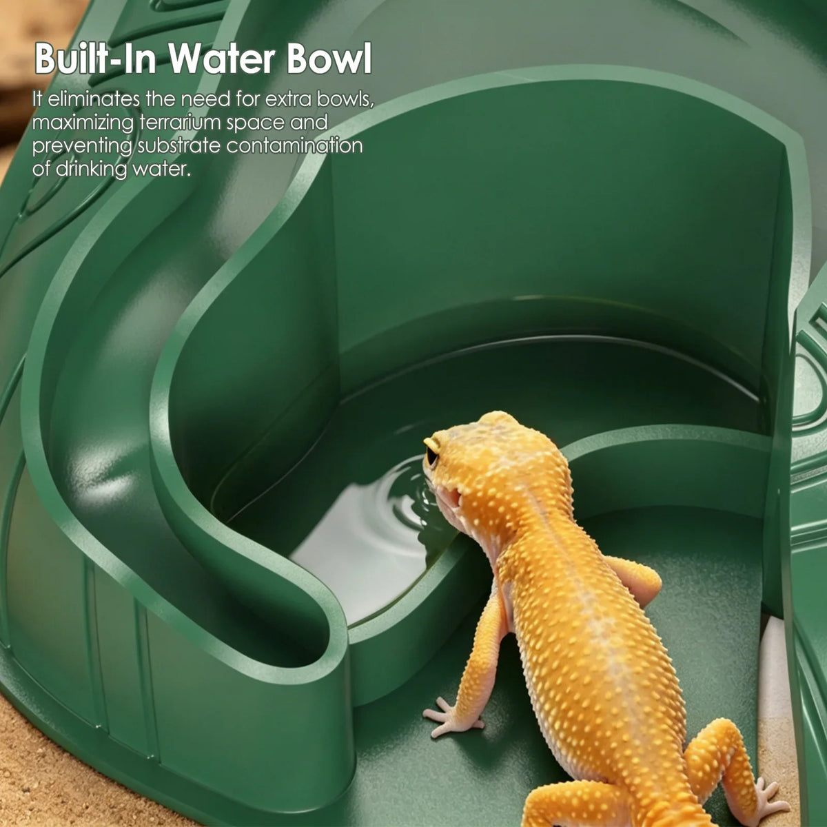 Gecko Hideout, Multifunctional Cave - - ProPawPet.com
