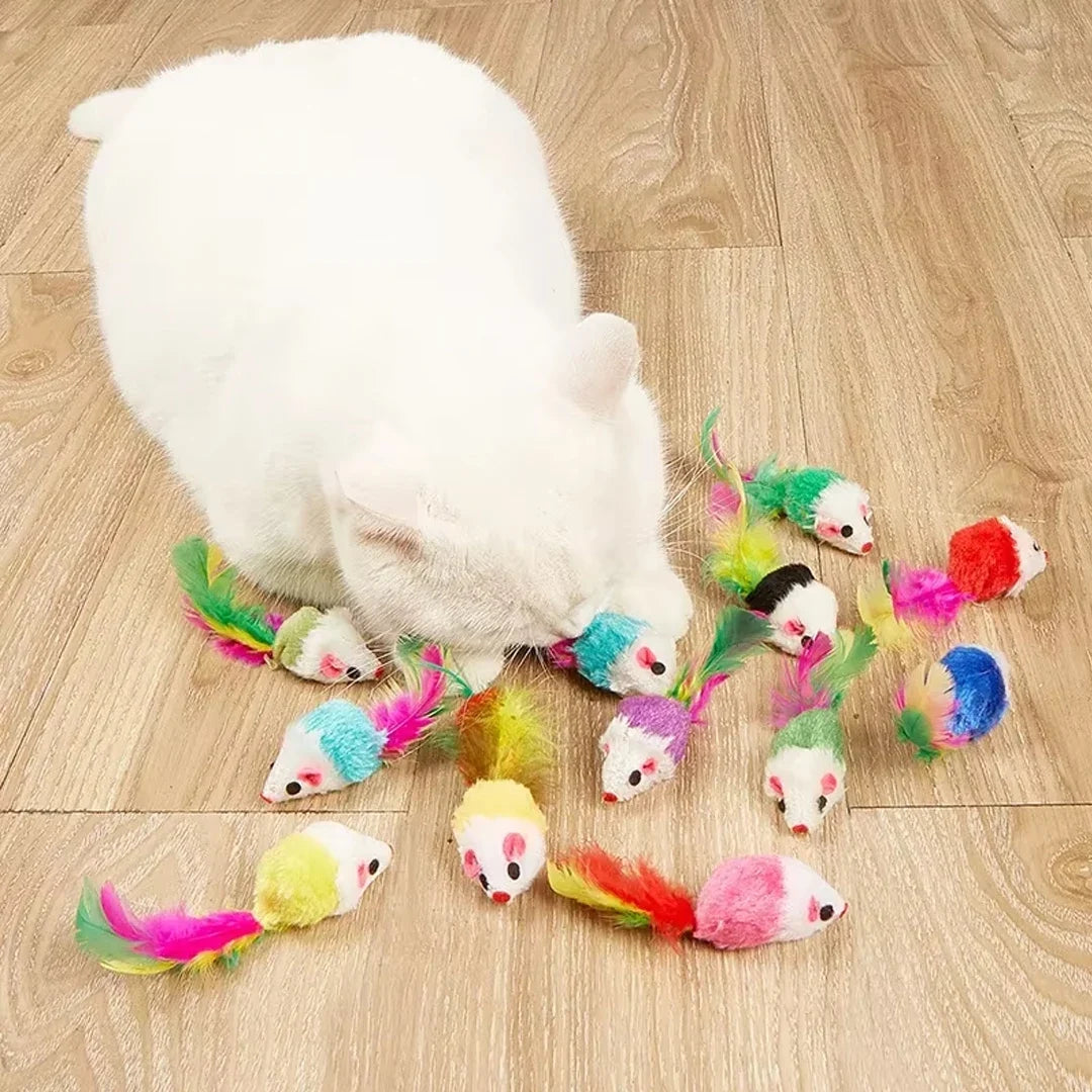 New Pet Cat Toys Interactive Cute Soft - ProPawPet.com