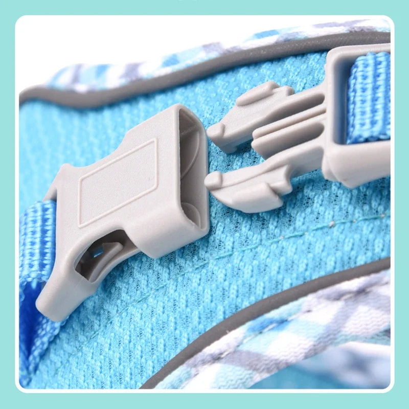 New Arrivals Cat Dog Harness and Leash Set - ProPawPet.com