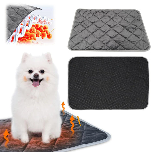 Winter Soft Self Warming Cat Bed with - ProPawPet.com