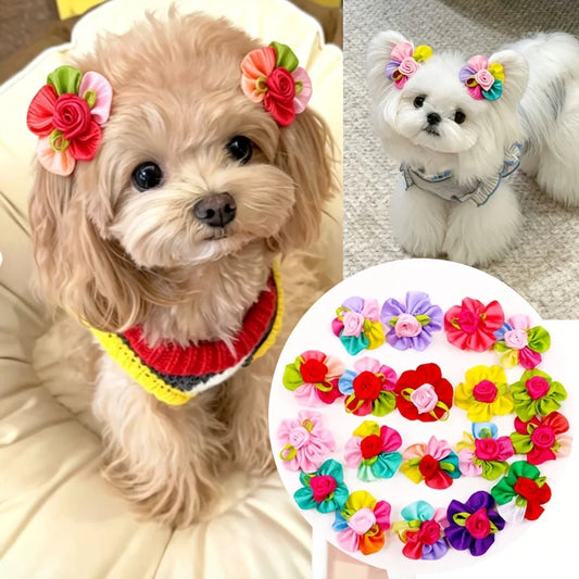 10/20pcs 3D Multicolor Fabric Rose Flower - ProPawPet.com