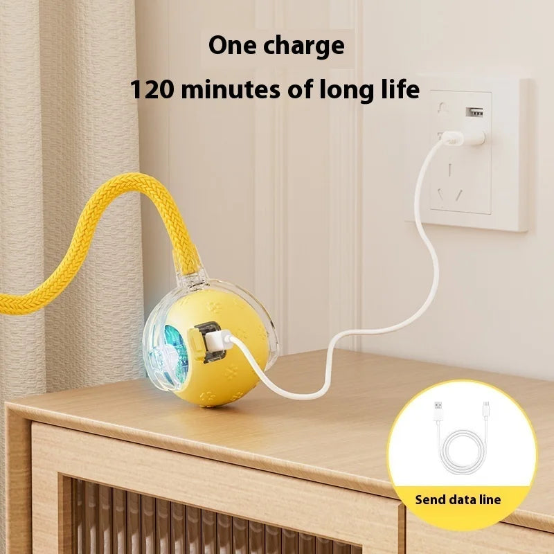 Upgrade Smart Interactive Cat Toys Ball Pet - ProPawPet.com