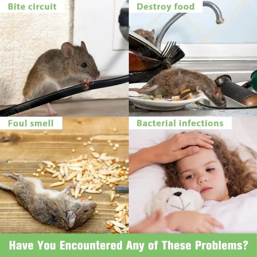 Boules répulentes de souris et de Rat, boule - ProPawPet.com