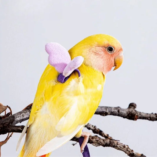 Parrot Bird Harness Leash Adjustable - ProPawPet.com