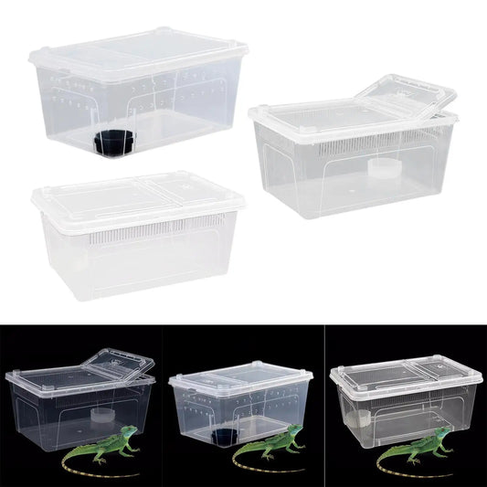Clear Terrarium Habitat Breeding Box Turtle - ProPawPet.com