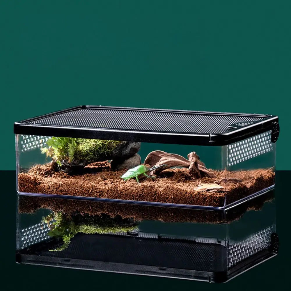 Reptile Breeding Box Acrylic Spider Lizard - ProPawPet.com