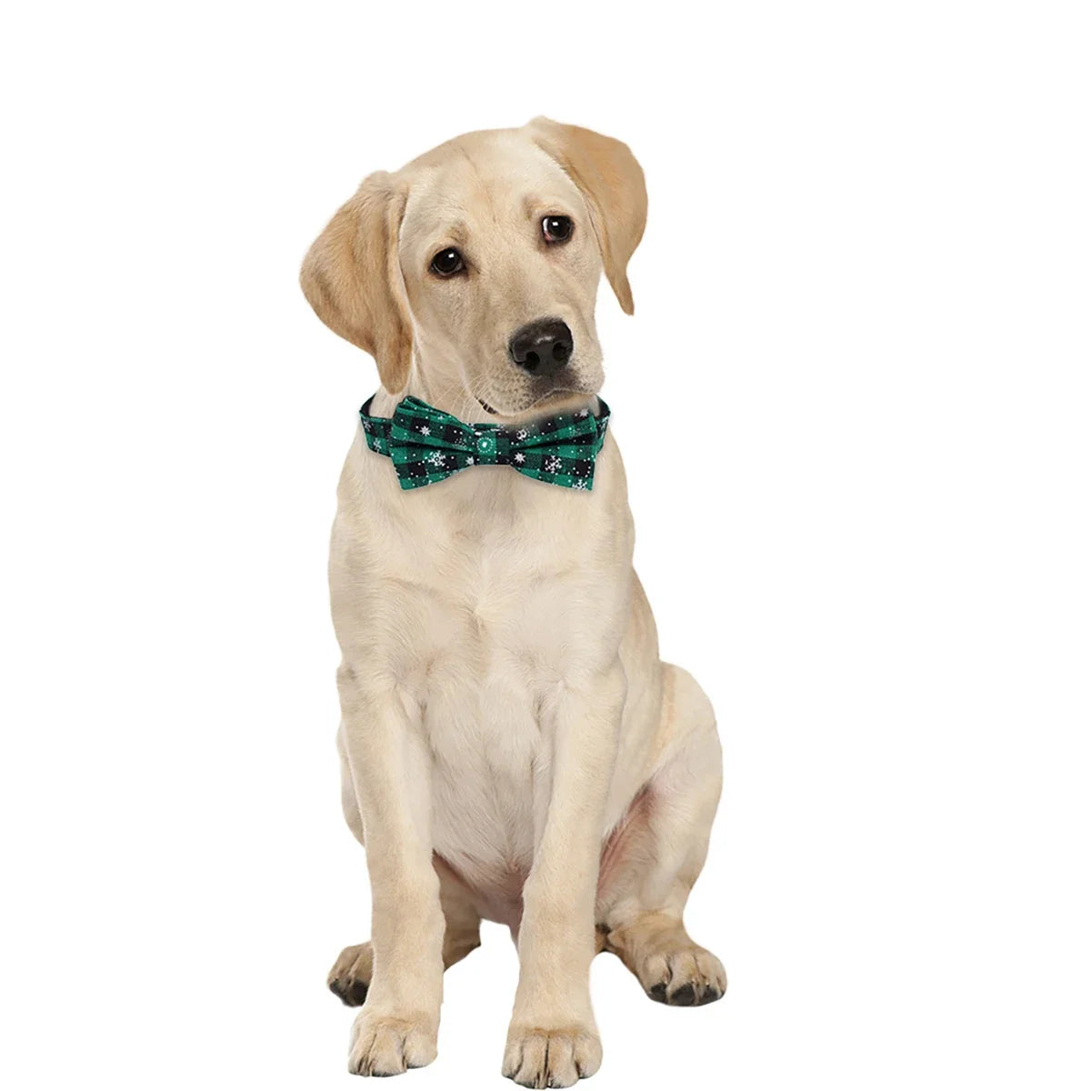 Dog Collar with Bow tie,Christmas Plaid - ProPawPet.com