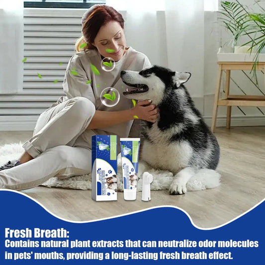 Pet Toothbrush And Toothpaste Teeth Cleaning - ProPawPet.com
