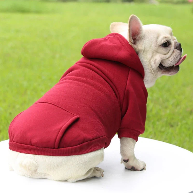 Fashion Dog Clothing Autumn And Winter Small - ProPawPet.com