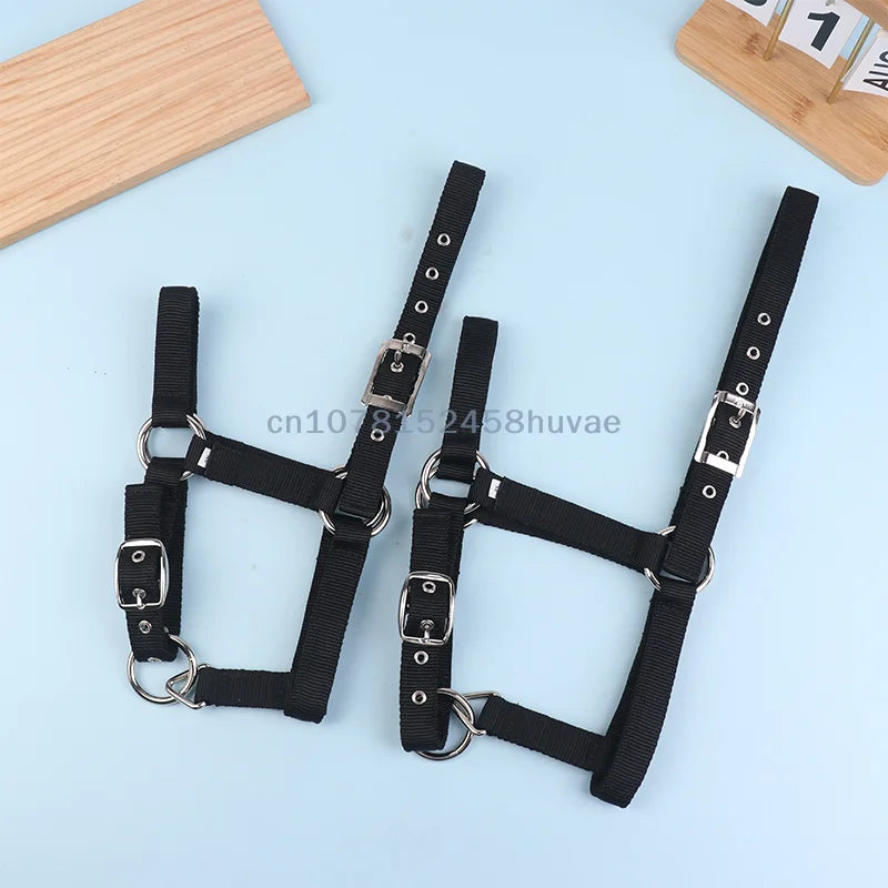 1 Pc Adjustable Nylon Webbing Equestrian - ProPawPet.com