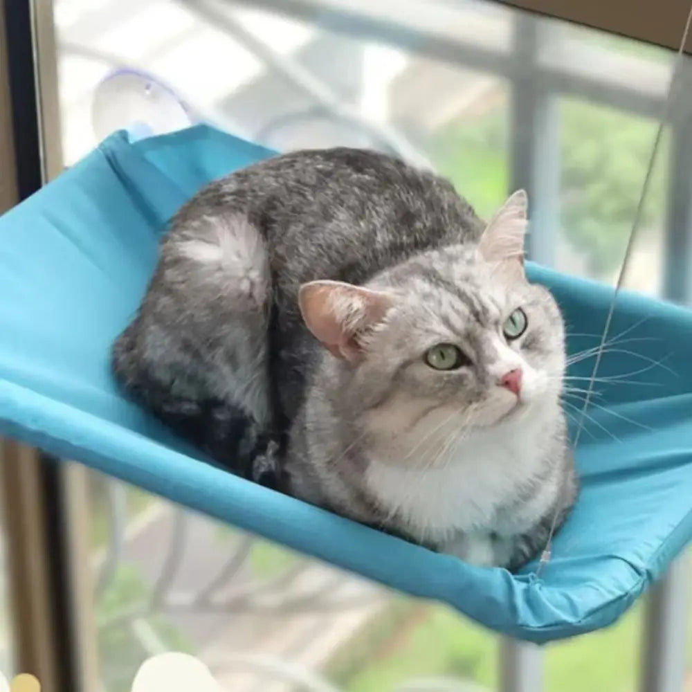 Pet Nest Creative Cat Hanging Bed Stable - ProPawPet.com