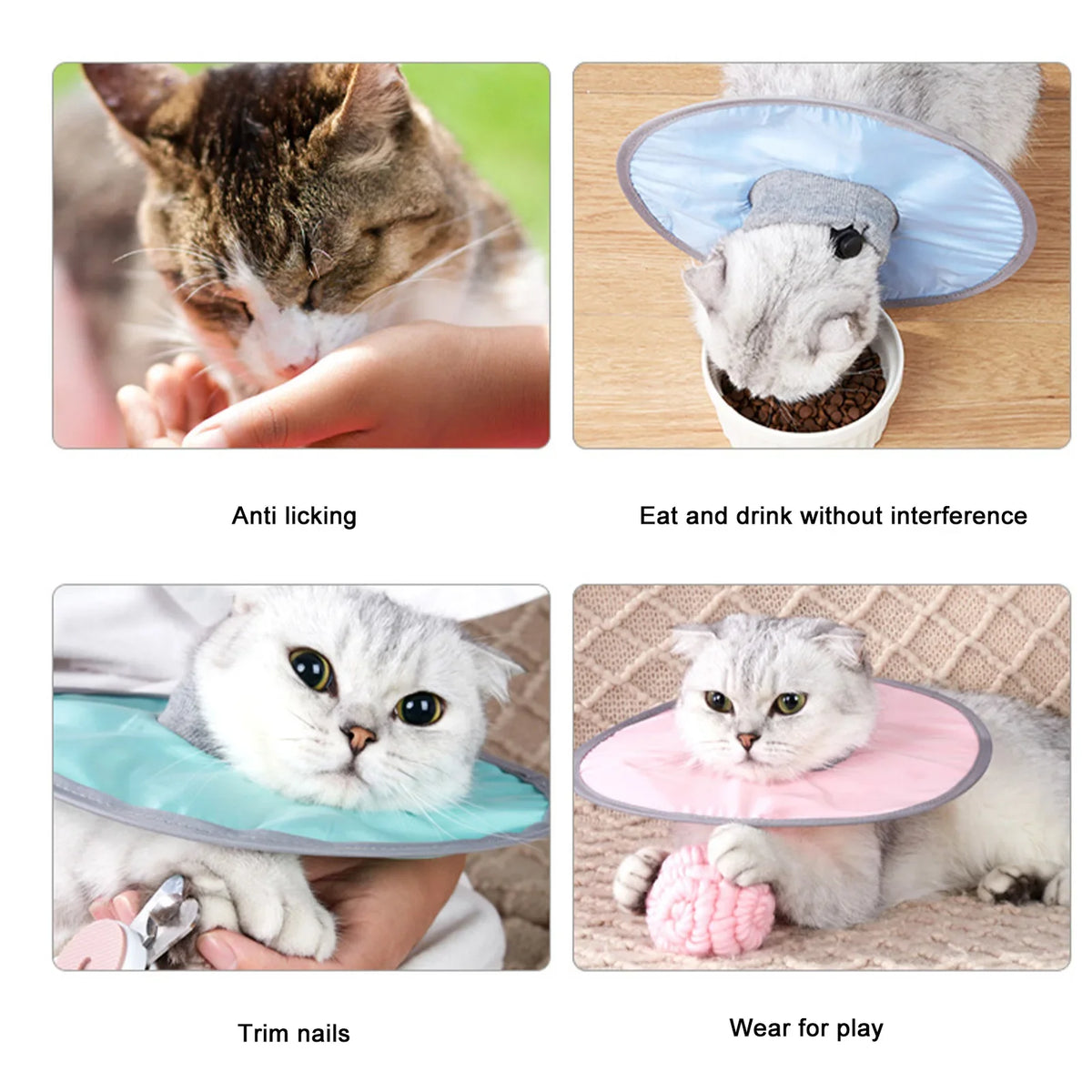 Post-Surgery Recovery Collar for Cats - ProPawPet.com