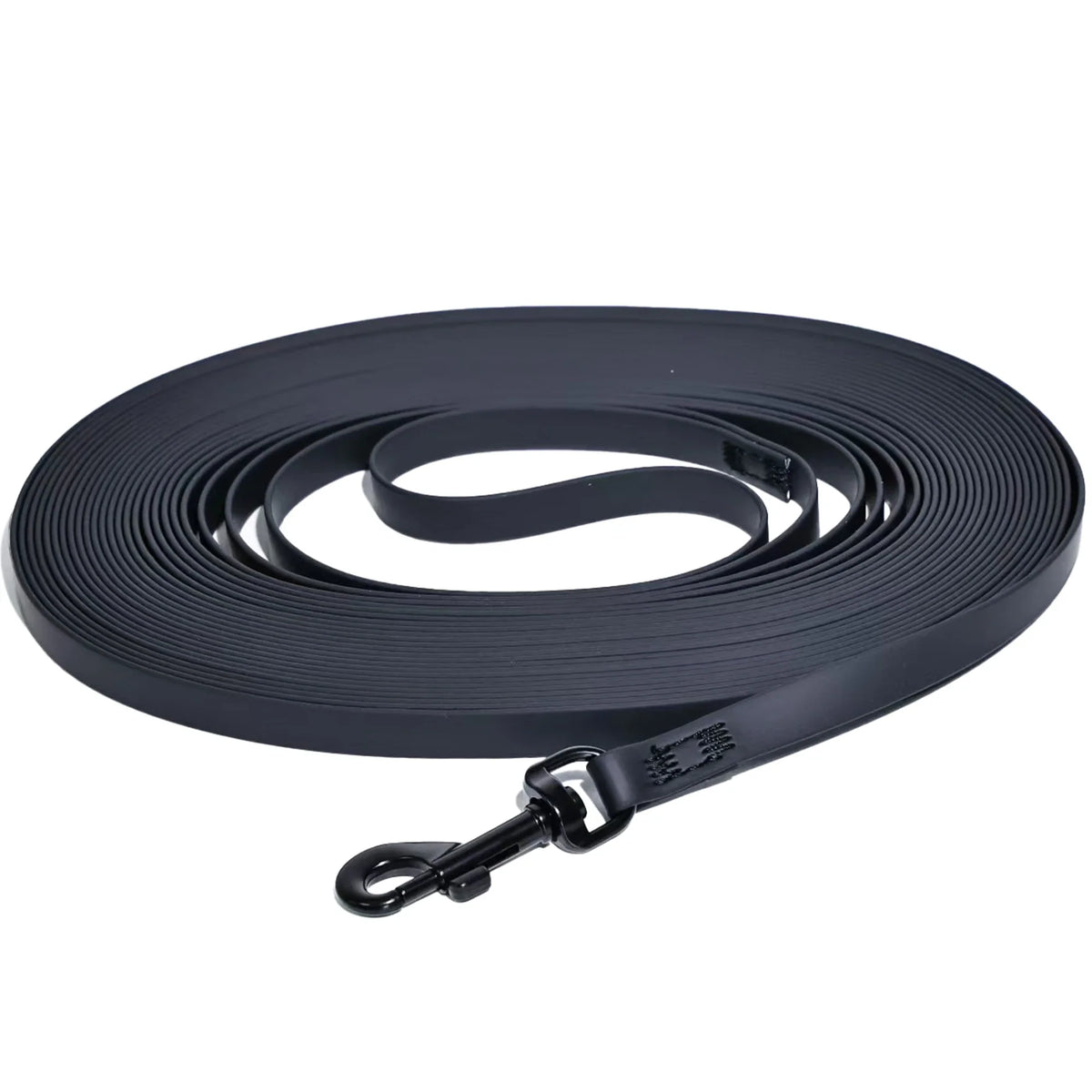 Waterproof PVC Long Cat Training Leash - ProPawPet.com