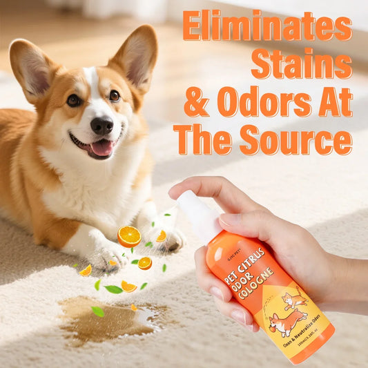 Citrus Enzymatic Pet Deodorizing Spray Urine - ProPawPet.com