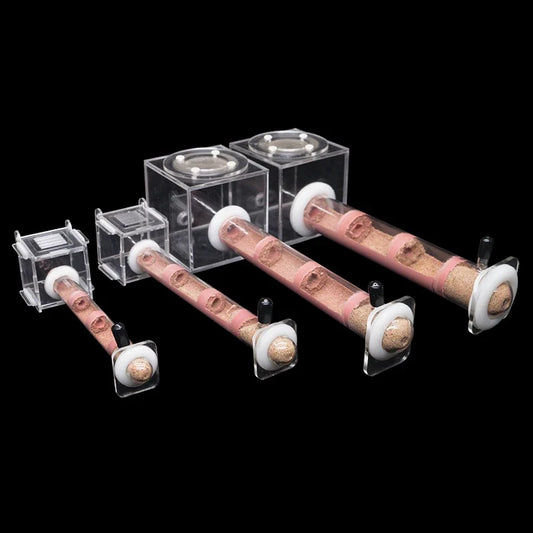 DIY Various Size Ant Farm Bamboo Tube Nest - ProPawPet.com