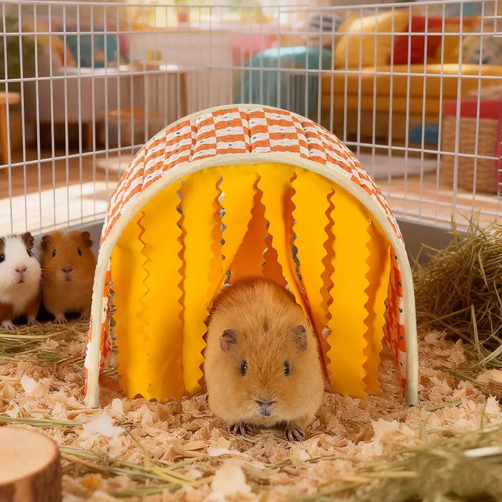 Durable Large Space Guinea Pig Tunnel Summer - ProPawPet.com