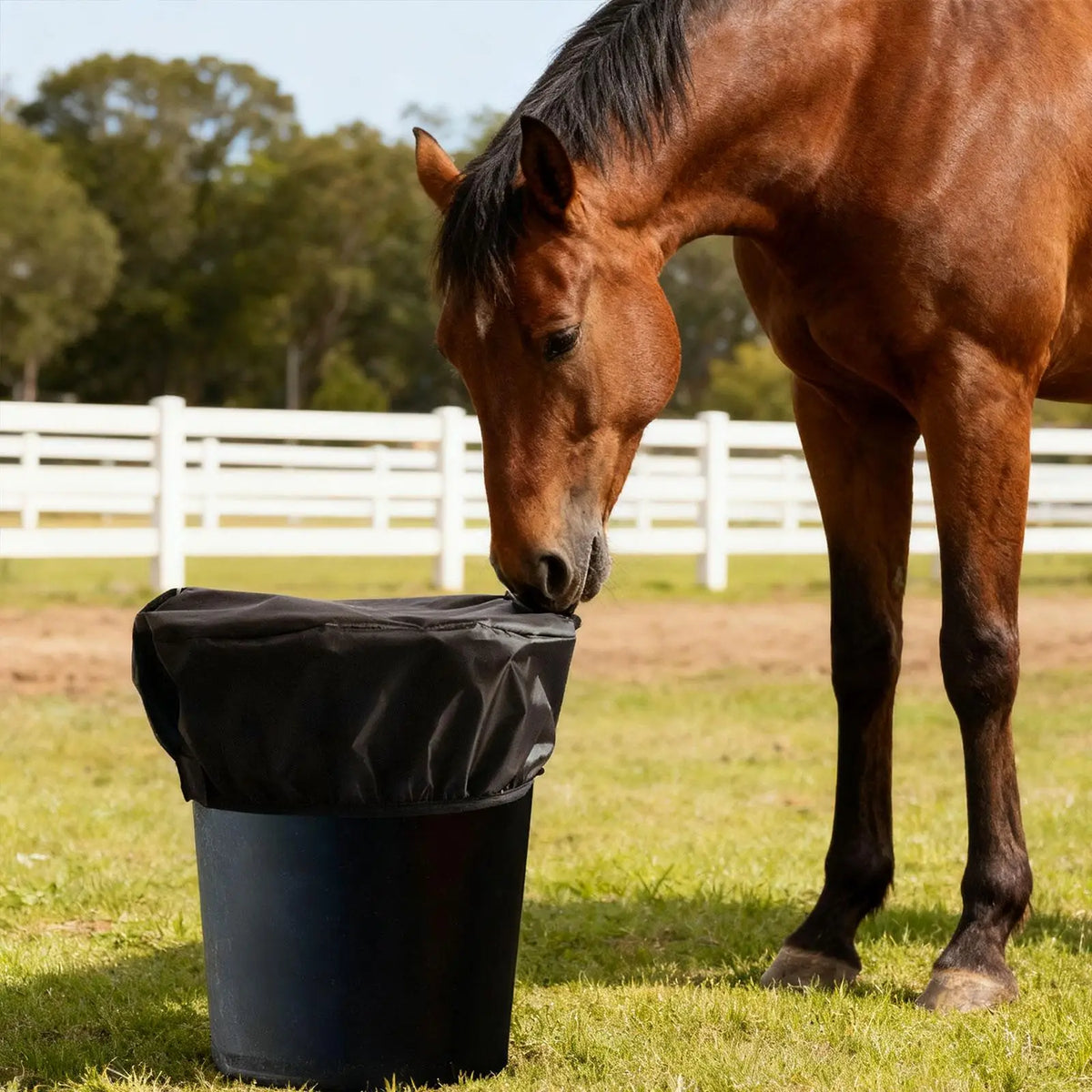 Multipurpose Horse feed Bucket Cover for - ProPawPet.com
