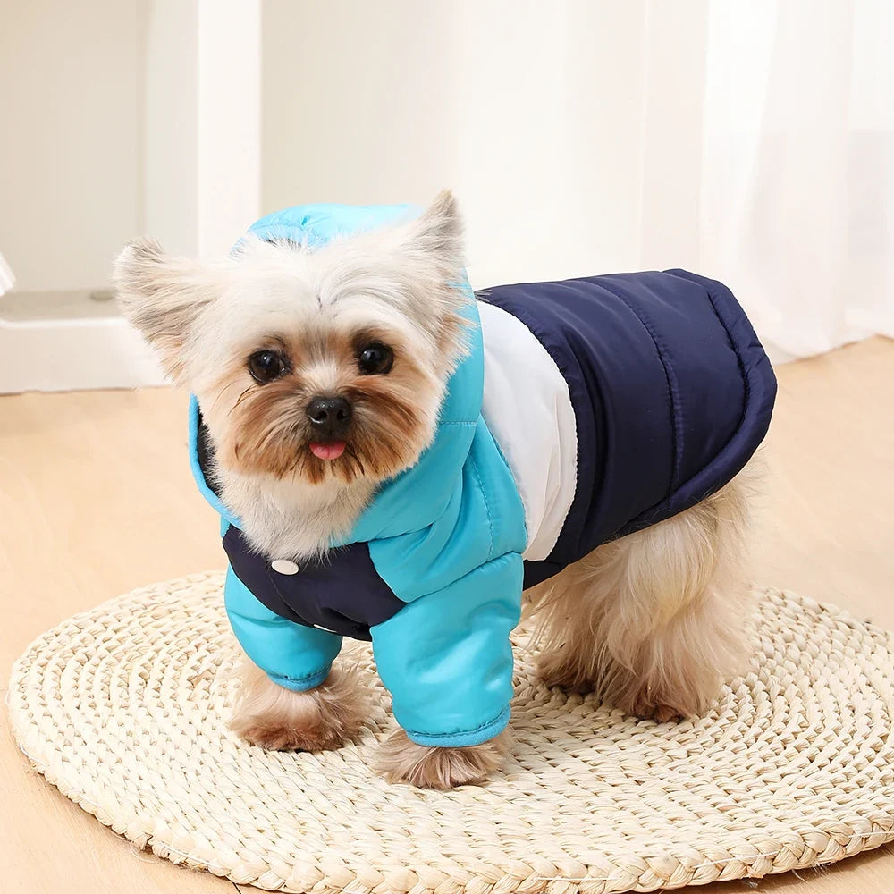 Windproof Pet Dog Jacket Coat Winter Warm - ProPawPet.com