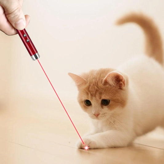 Cat Laser Pointer Toy Light Pointer - ProPawPet.com